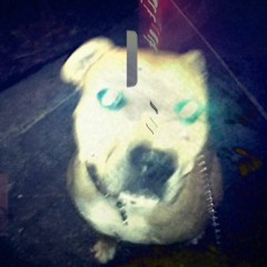 Marcus H.K. Warfield a.k.a Holockau5t/Legion