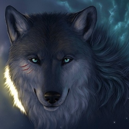 Yastreb's Storm Wolf’s avatar