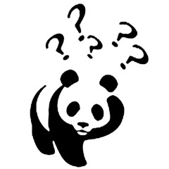 pandaxo