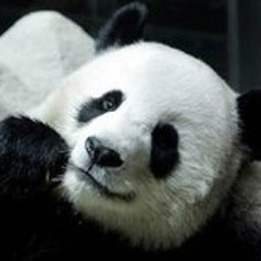 Thamrongchai Eakamornwong