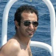 Mohamed Mahmoud Mitkees