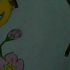 Chelsea Fc Hazelwood