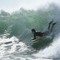 surfpro_69