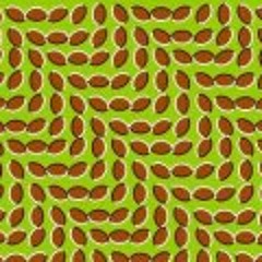 Cristian Kmilo Ramirez