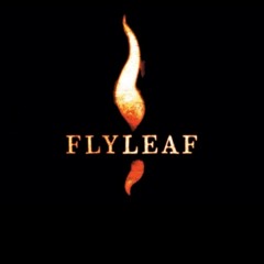Chasm flyleaf