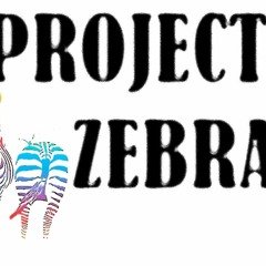 Project Zebra