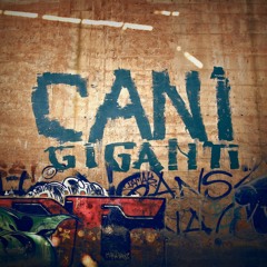 Cani Giganti_51beats.net