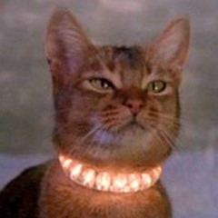 Spiritualized - Shine a light