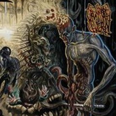 AuThOR ThE SiLenTPoeT