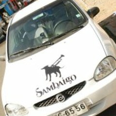 Diego Andres Bucarey