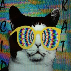 acidkat8