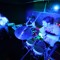 Drum & Disorderly