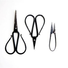 sleepeatfoodhavevisions