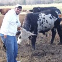 Phillip Michael Davis