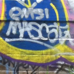 MCM El Domador de Flows.