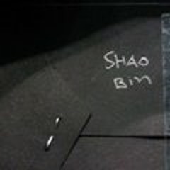 Shao Bin