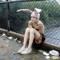 Rabbit_Ears