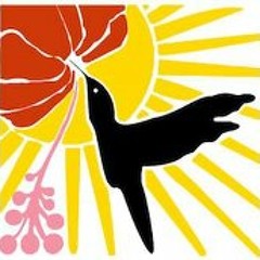 Alexis D'abadie de Lurbe