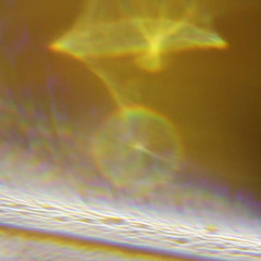 homogenized terrestrials