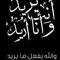Mahmoud Abd Elkader 1