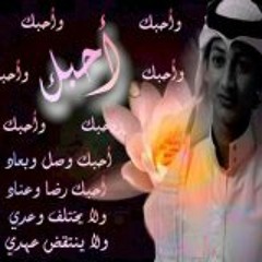aboody almahbob
