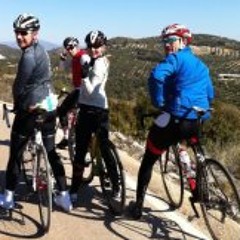 Kirsty 'Kip' Harries