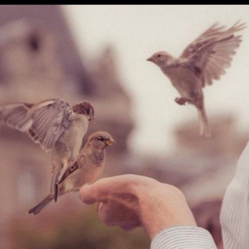 لاشريك لك