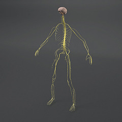 Richard Marston Ealy