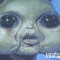 Lukedudook