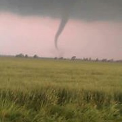 Shawn Son..aka japacoon