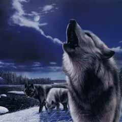 Wolf-Pack