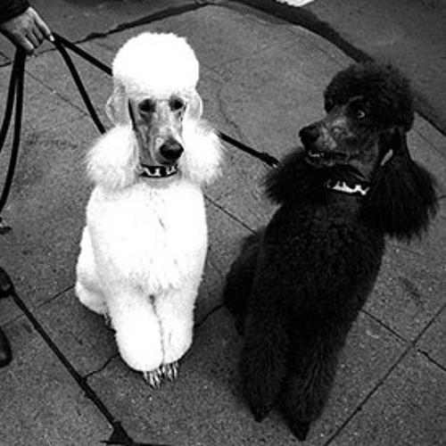 On a roll- mac miller ft. pharrell