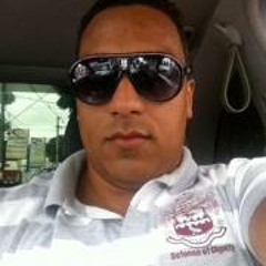 david