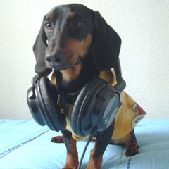 Dj Necochea