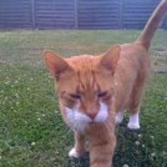 Marcus Minecraft Højstrup