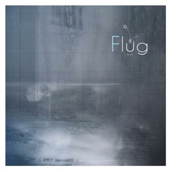 flug