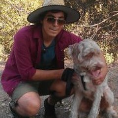 interstellar experience