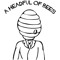 AHeadfulOfBees