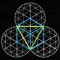 AuraExodus