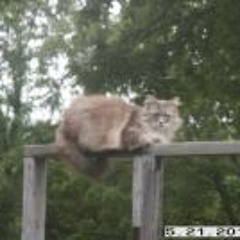 Robert Eugene Cannon