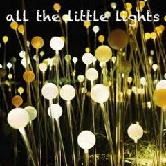 allthelittlelights