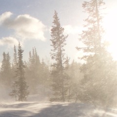 Snowstillfalls