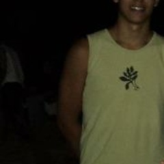 Vinicius Luis S. Machado