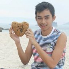 Jan Michael L. Ferrer