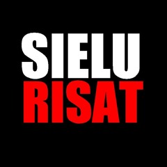 Sielurisat