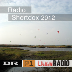 Radio Shortdox 2012