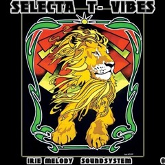 SELECTA T-VIBES