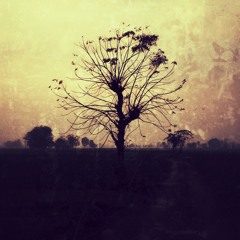 Gone