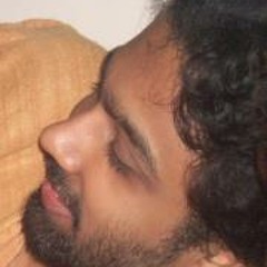 Tere Liye Veer Zara