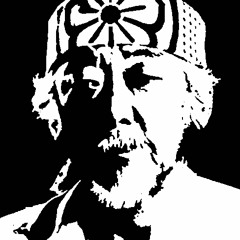 Meister Miyagi